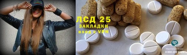 spice Дмитриев