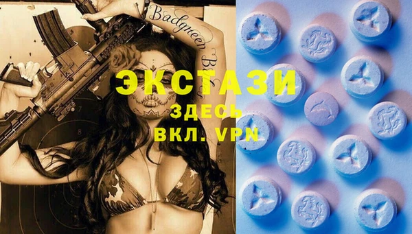 spice Дмитриев