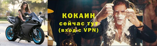 spice Дмитриев