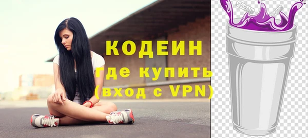 spice Дмитриев