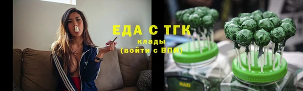 spice Дмитриев