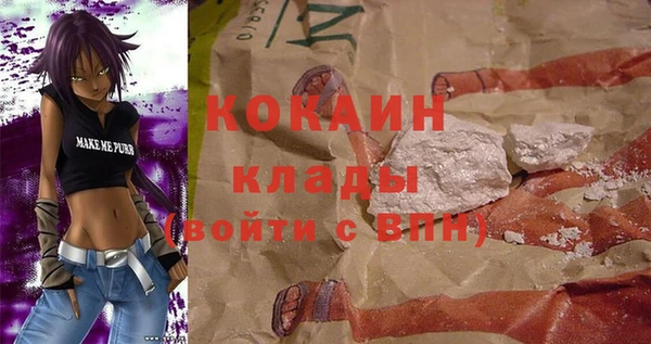 spice Дмитриев
