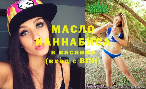 spice Дмитриев