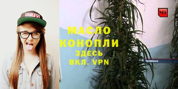 spice Дмитриев